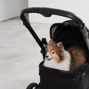 Pompolarr Small Wagon Hybrid Low-Floor Detachable Carrier Stroller - Image 5