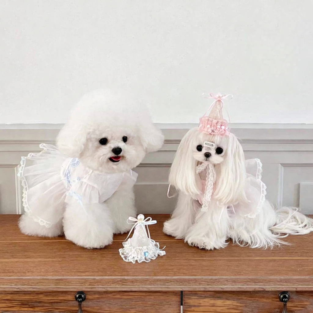 Birthday Tulle Dress - Image 2