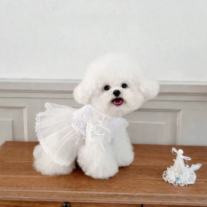 Birthday Tulle Dress - Image 4