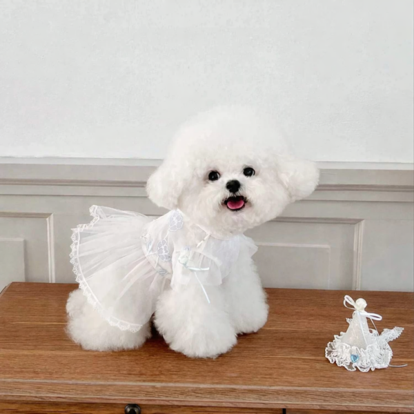 Birthday Tulle Dress