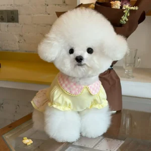 Cotton Piqué Dress - Image 3