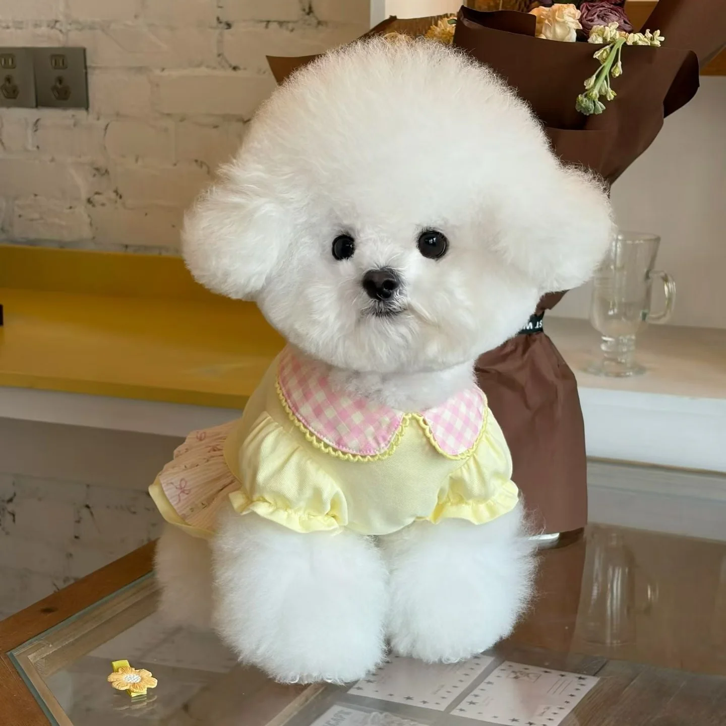 Cotton Piqué Dress - Image 3