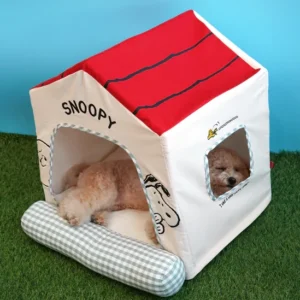Snoopy Frame House - Image 2