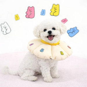 ParisDog Jelly Bear Neck Collar