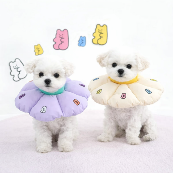 ParisDog Jelly Bear Neck Collar