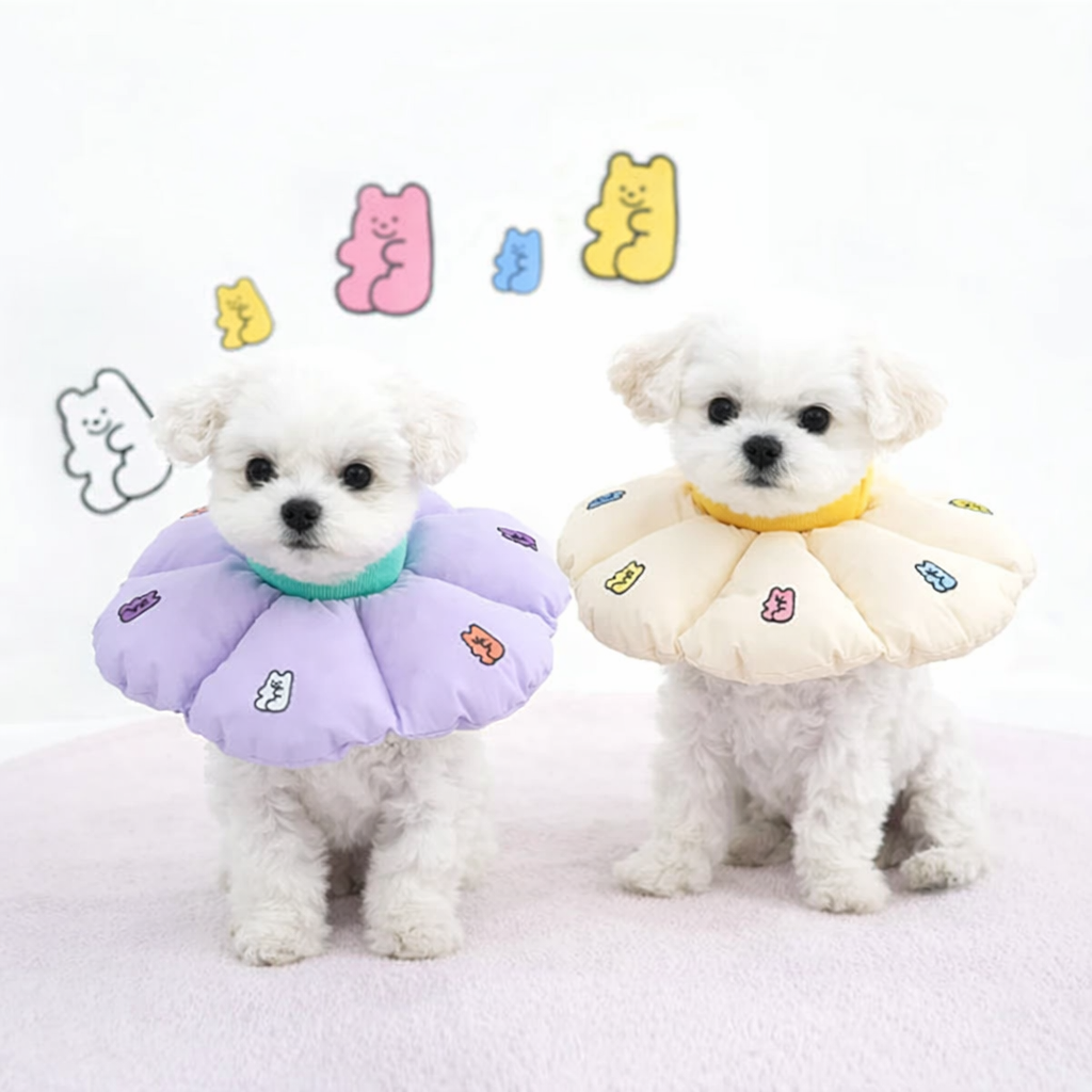 ParisDog Jelly Bear Neck Collar - Image 3
