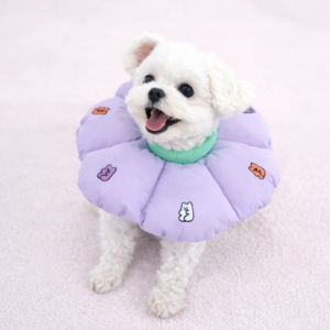 ParisDog Jelly Bear Neck Collar - Image 2