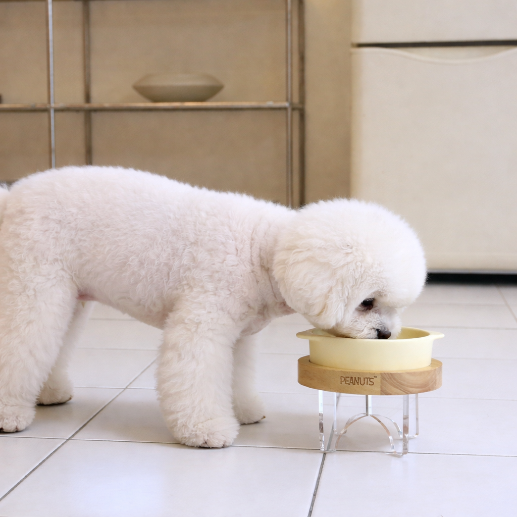 Peanuts Chef Food Bowl Table Set - Image 7