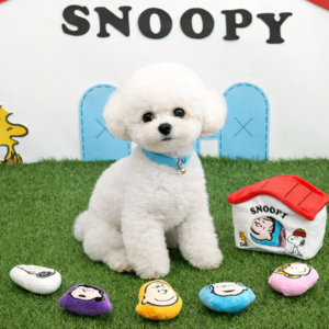 Peanuts House Toy Set - Image 1