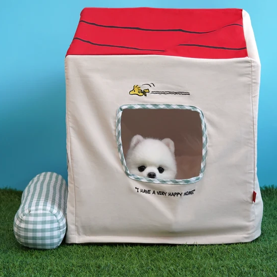 Snoopy Frame House