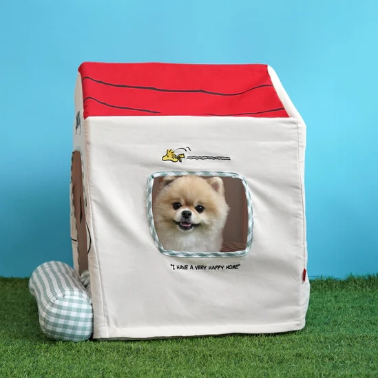 Snoopy Frame House