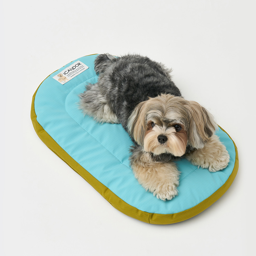 iCANDOR Urban Nest Cushion - Image 1