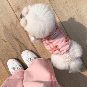 Ribbon Hoodie Jumper & Pants