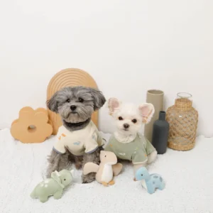 Moncheri Dinosaur Friends Toy Set - Image 3