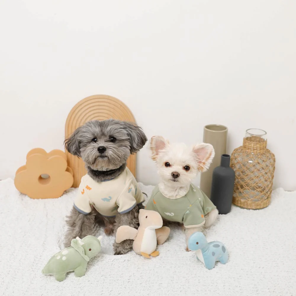Moncheri Dinosaur Friends Toy Set - Image 3