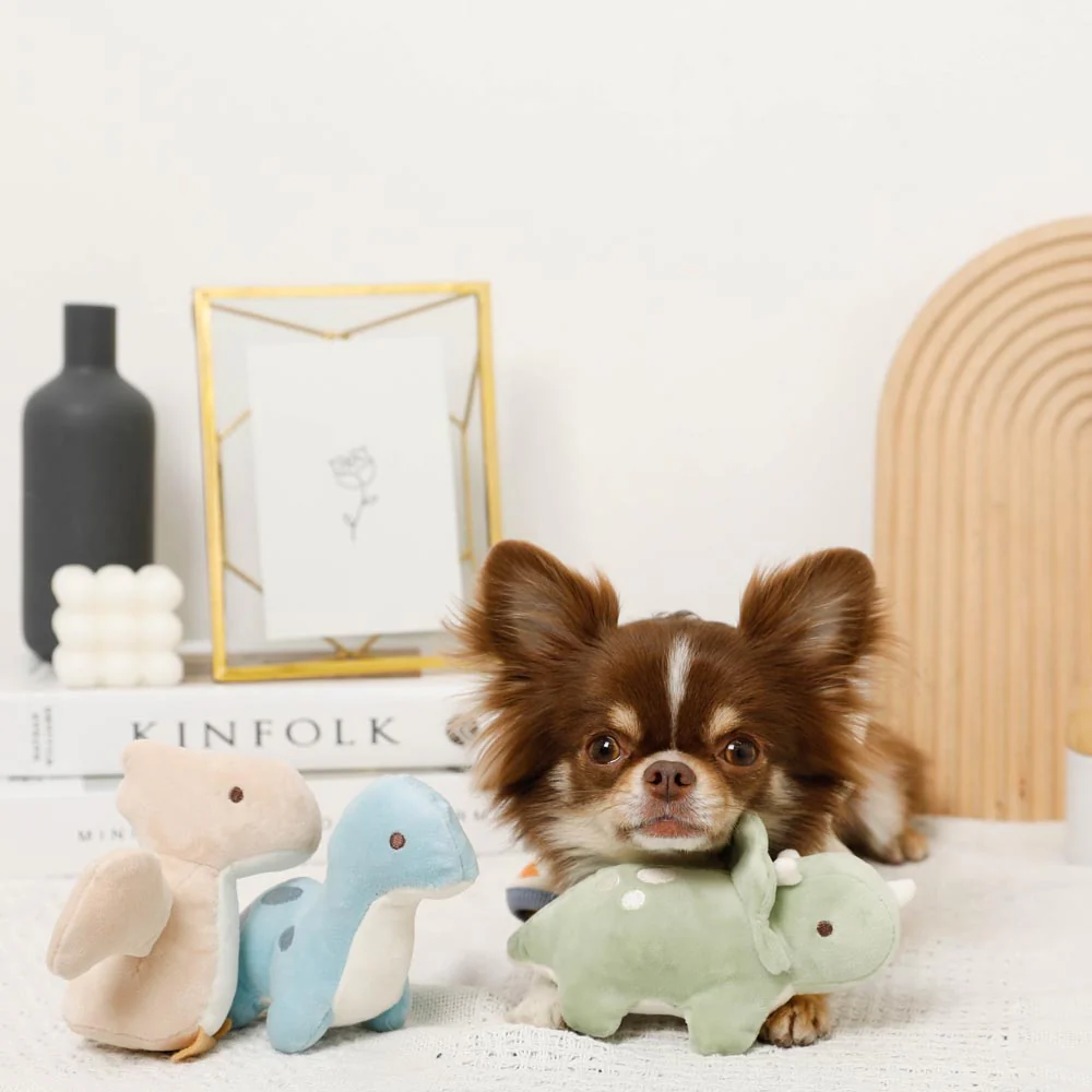 Moncheri Dinosaur Friends Toy Set - Image 4