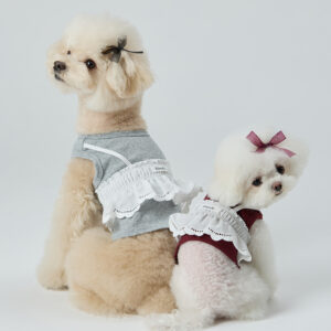 Easy Lace Bustier - Image 1
