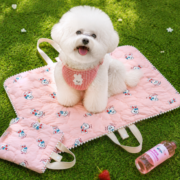 Dear Puppy Kitsch Bunny Walking Mat