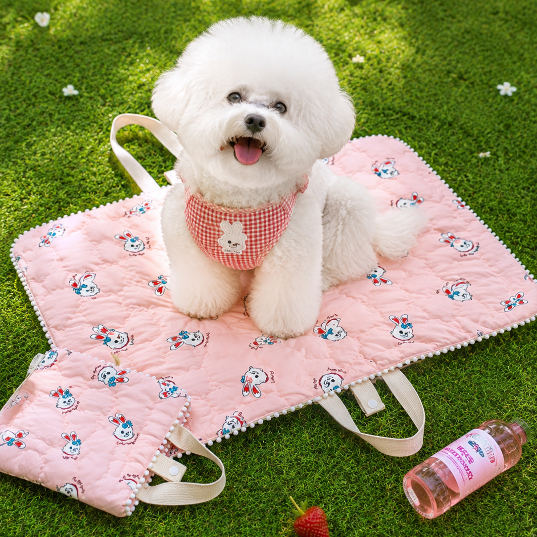 Dear Puppy Kitsch Bunny Walking Mat - Image 4
