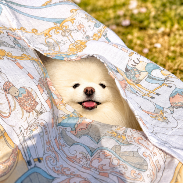Dear Puppy Carousel Peekaboo Stroller Blanket