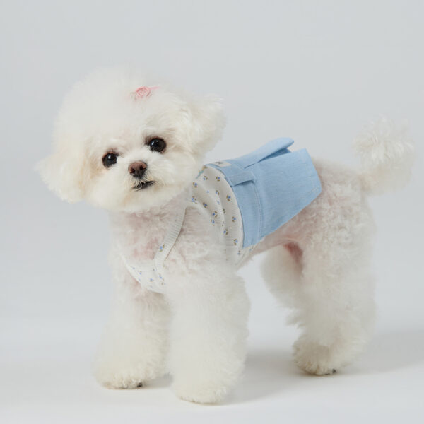 Picnic Denim Two in one