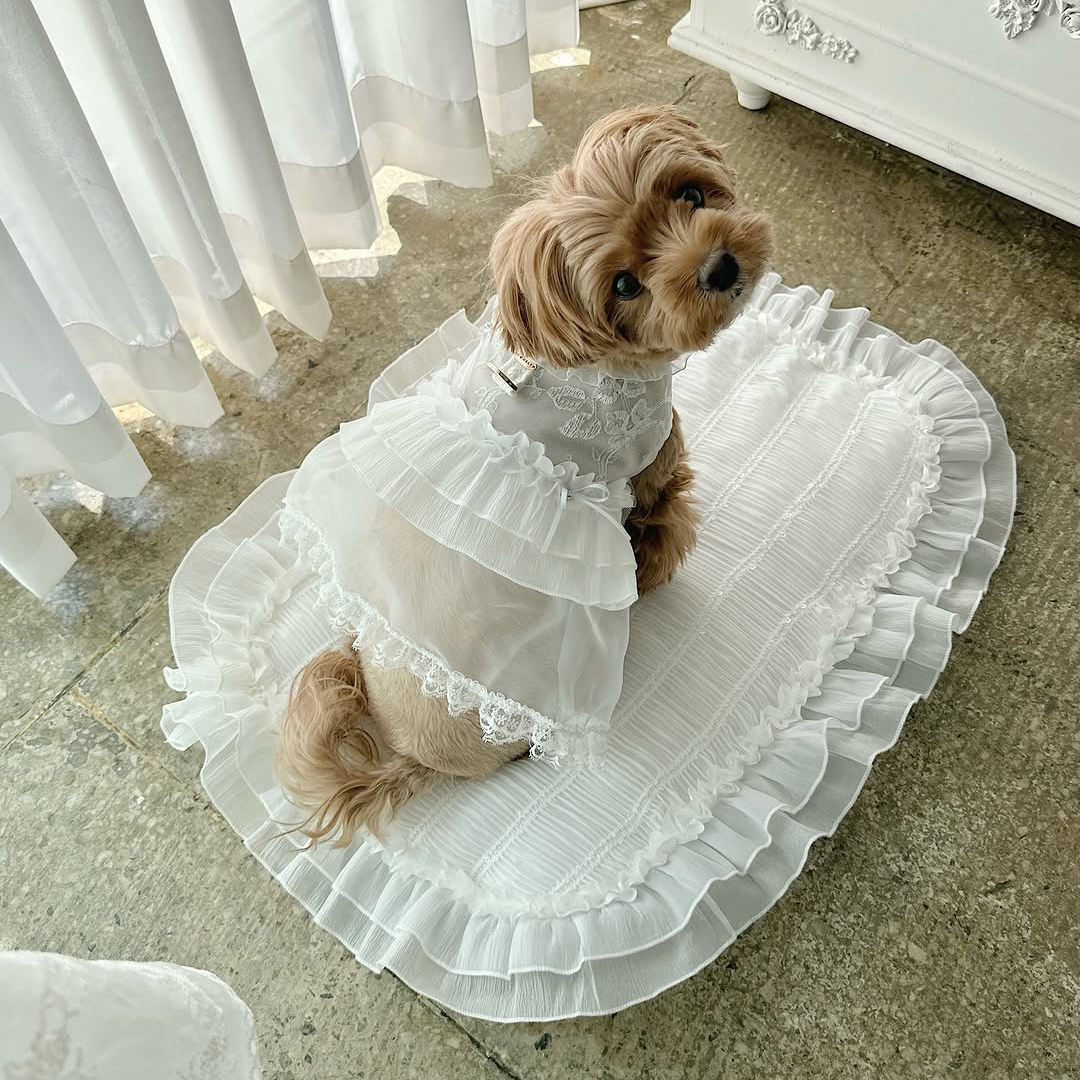 Comely Princess Walking Mat - Image 5