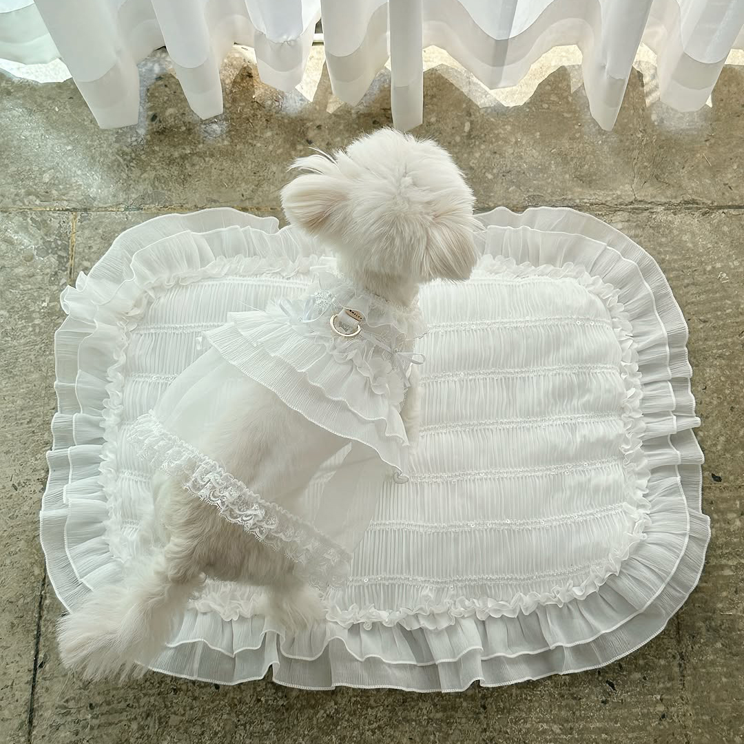 Comely Princess Walking Mat - Image 2