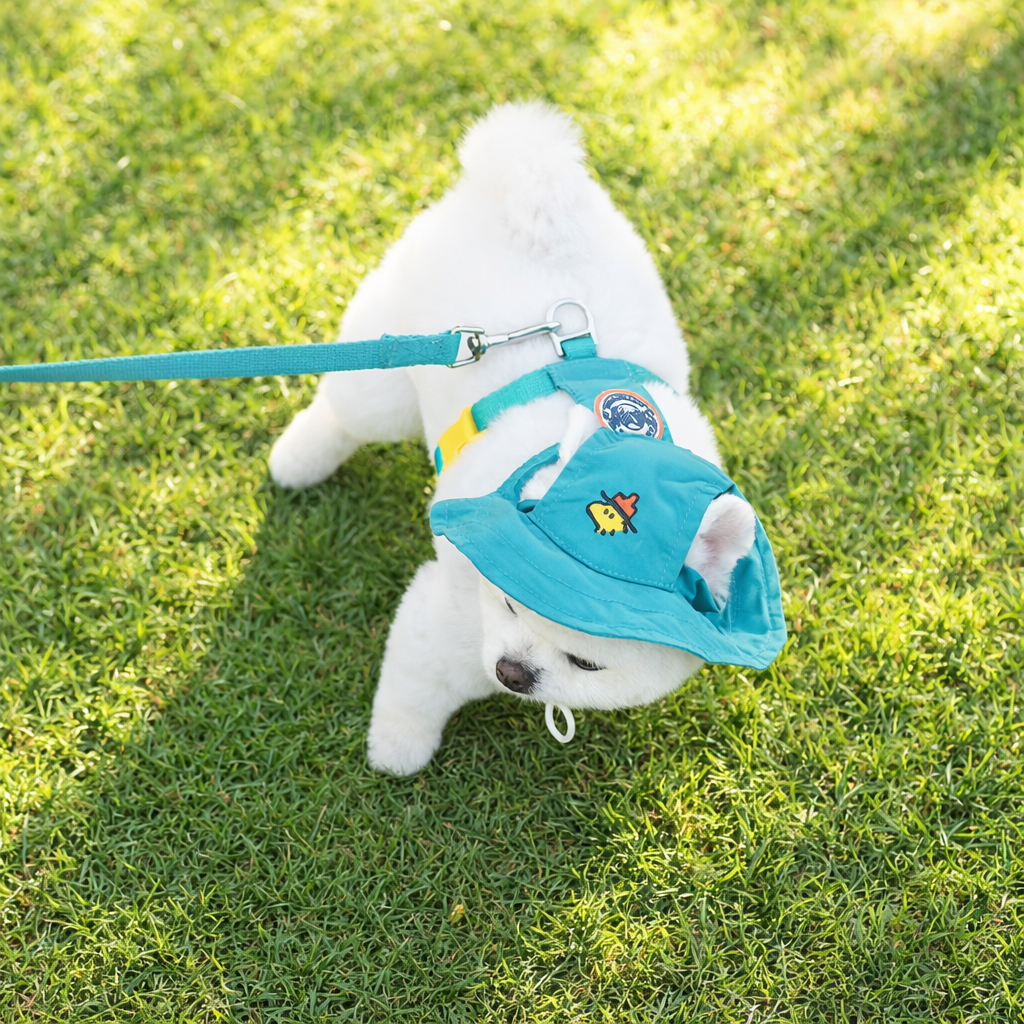Peanuts Adventure 2-Way Backpack Harness Set - Image 4