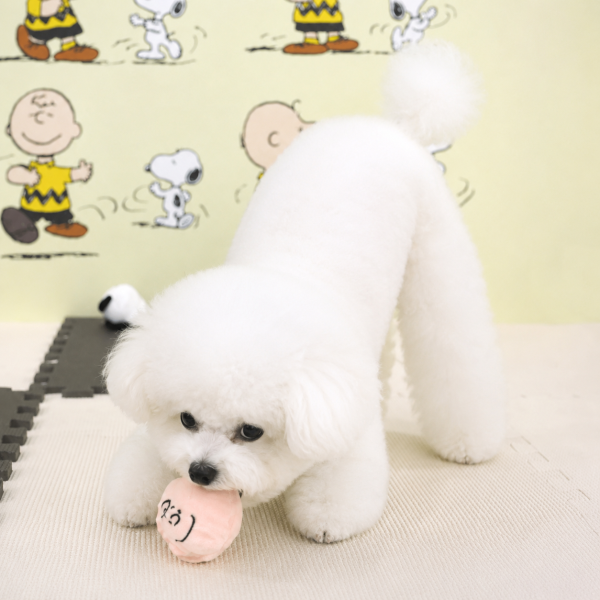 Peanuts Peel-Off Ball Toy