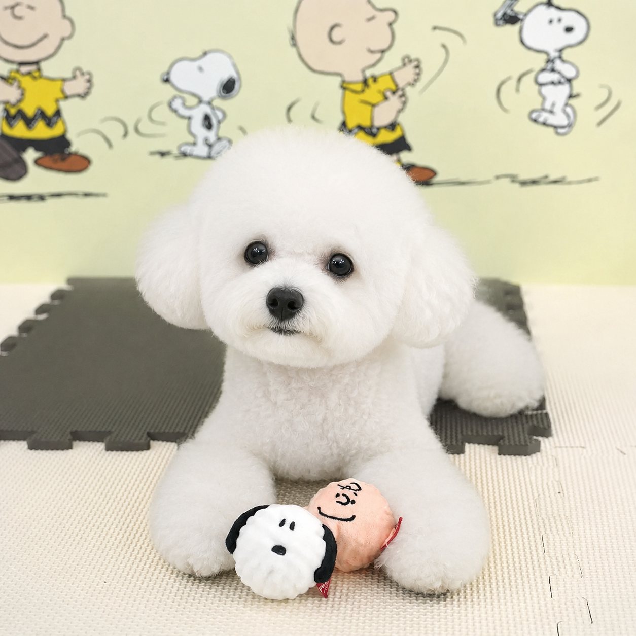 Peanuts Peel-Off Ball Toy - Image 1