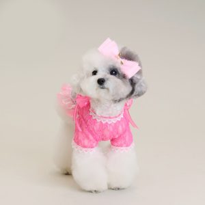 Comocomo Pink Secret - Image 2
