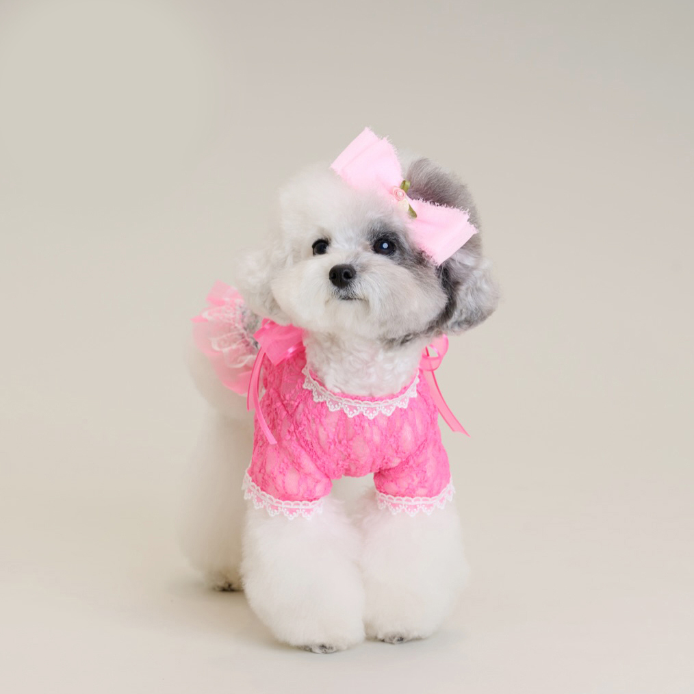 Comocomo Pink Secret - Image 2