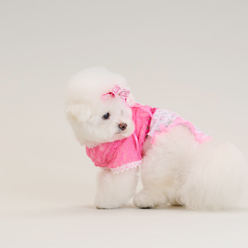 Comocomo Pink Secret - Image 4