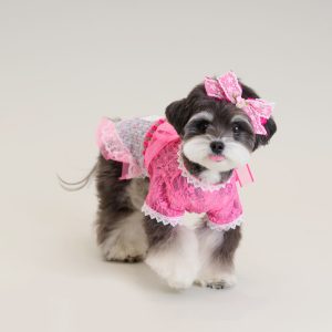 Comocomo Pink Secret - Image 5