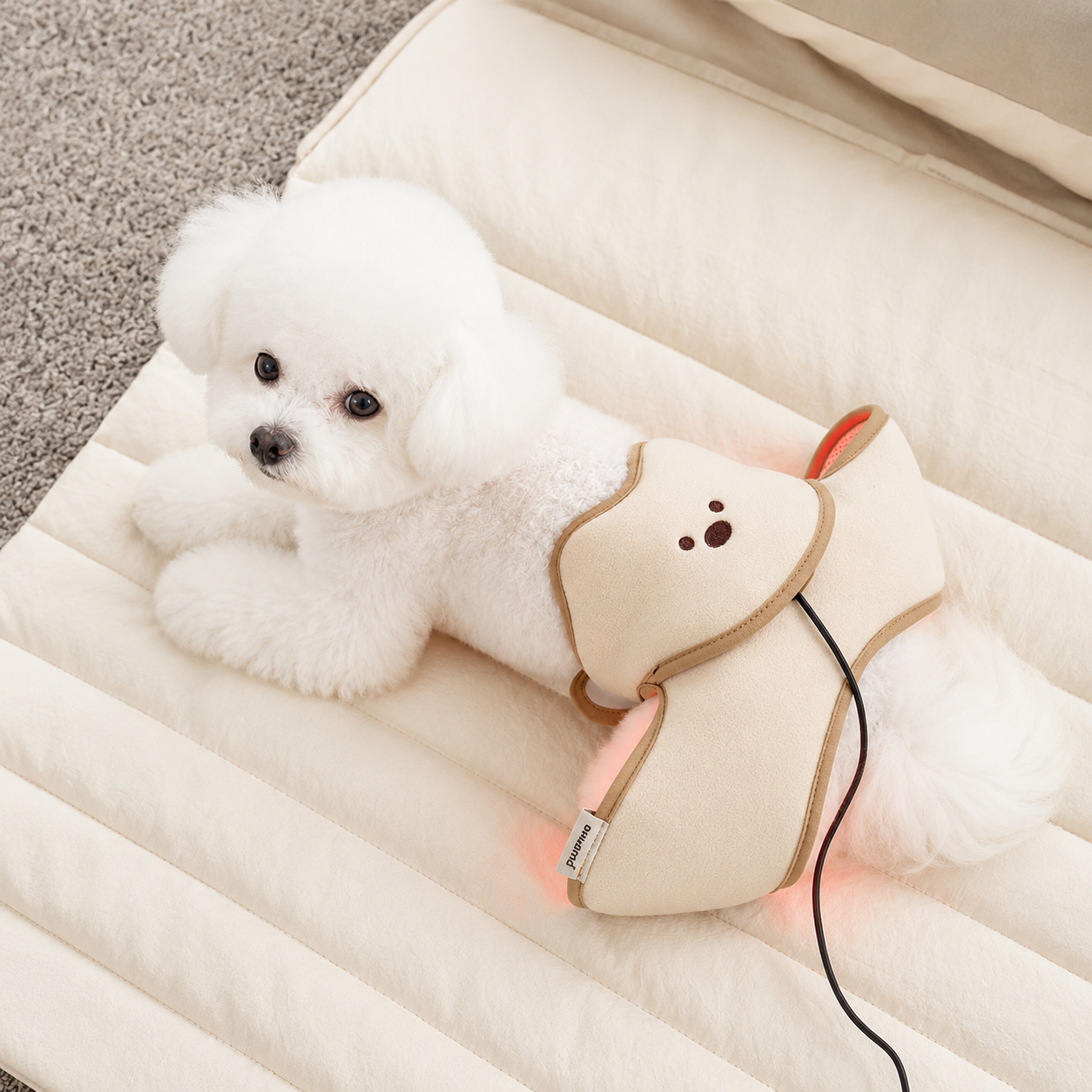 Pupping Red Light & Near-Infrared Orthopedic Heating Pad - Image 2