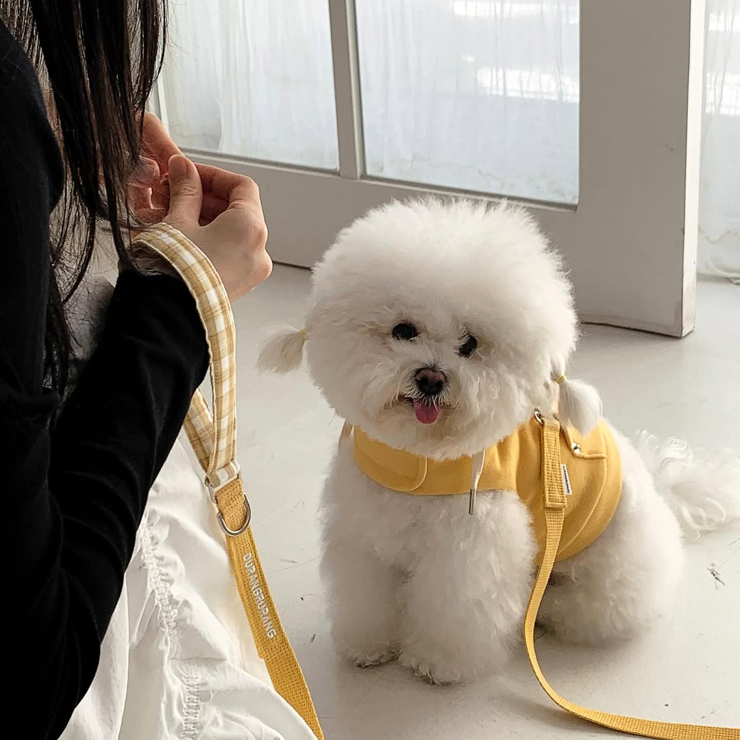 Durang Rurang Crop Hoodies Harness-Yellow - Image 2