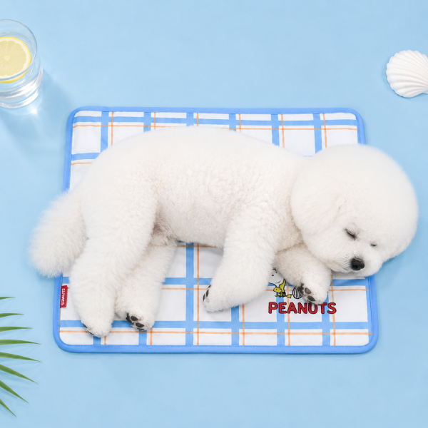 ParisDog Peanuts Friends Cool Gel Mat