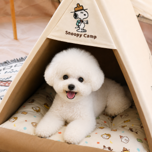 ParisDog Peanuts Scout Camp House - Image 4